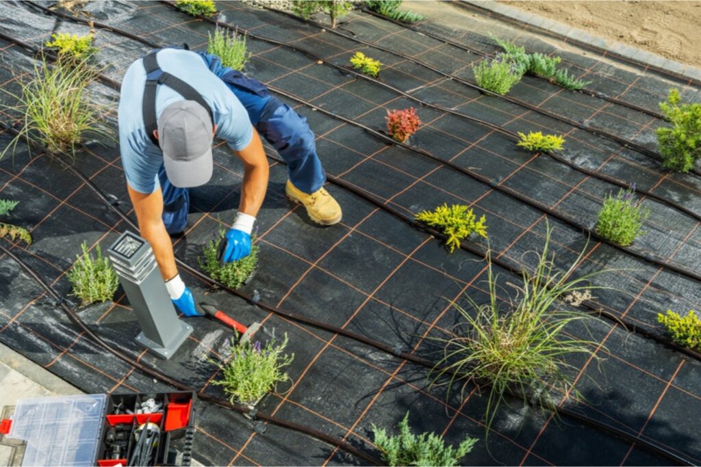 Fachkraft installiert eine Tropfbewässerung im Garten und verlegt den Tropfschlauch