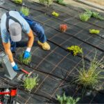 Fachkraft installiert eine Tropfbewässerung im Garten und verlegt den Tropfschlauch